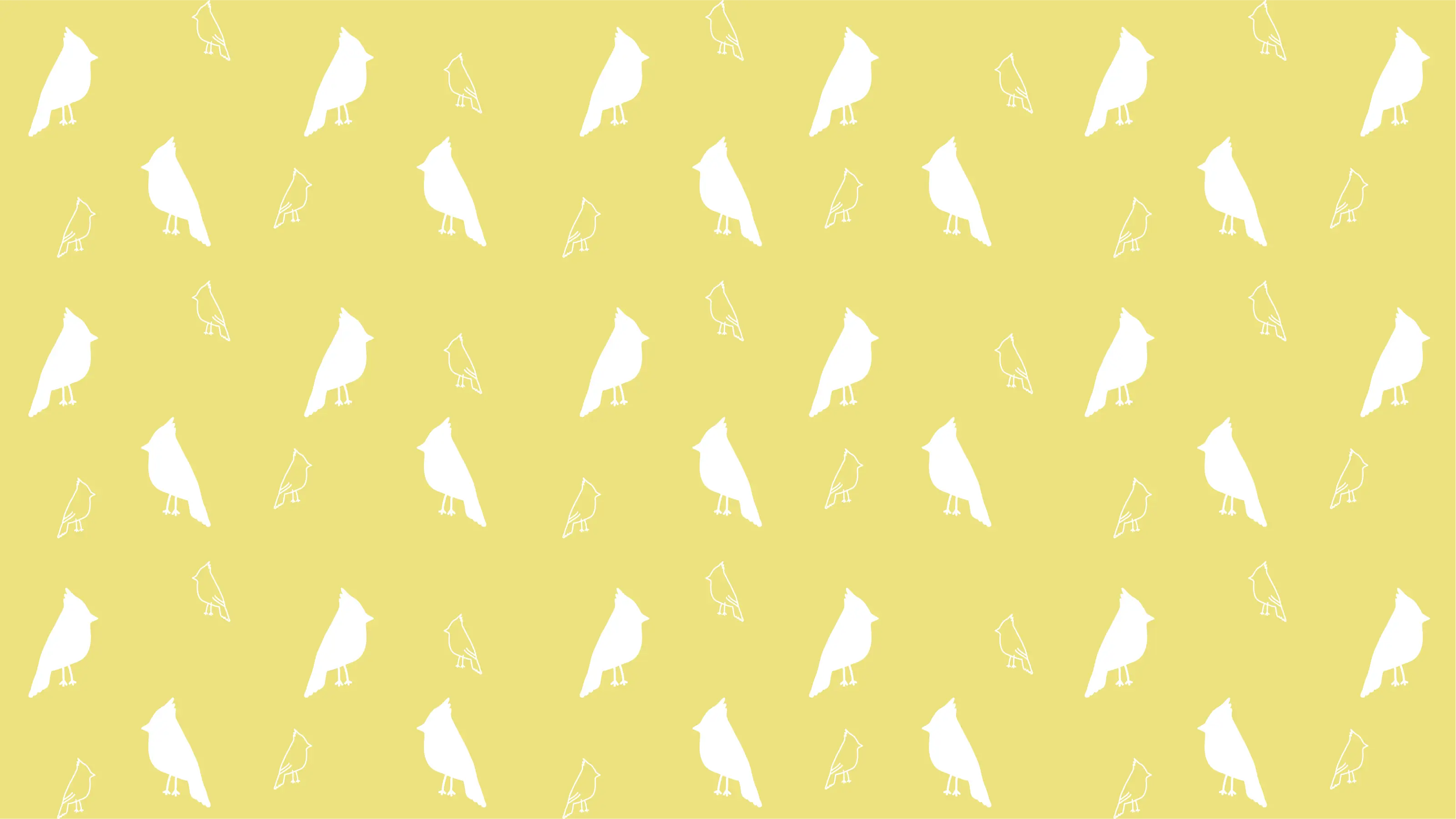 Kodia Lin Photography illustrated pattern design